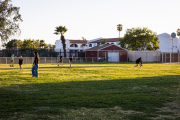 070326039EDIT