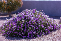 846A0546copy_web