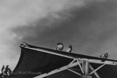 20251226-122625_4475web