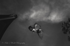 20251226-122625_4511web