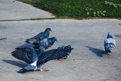 20251226-122625_4527web