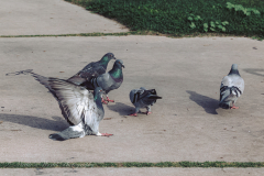 20251226-122625_4528web