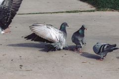 20251226-122625_4529web