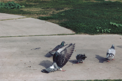 20251226-122625_4531web