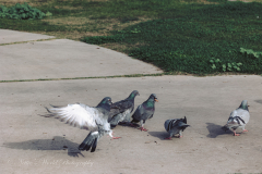 20251226-122625_4532web