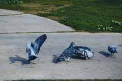 20251226-122625_4534web