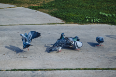 20251226-122625_4535web