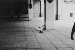 20251225-122625_4815-2