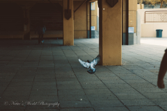 20251225-122625_4815-3