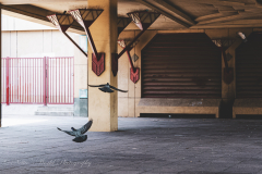 20251225-122625_4821-2