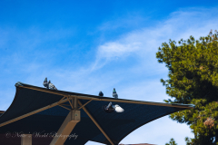 20251226-122625_4161web