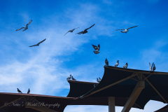 20251226-122625_4239web