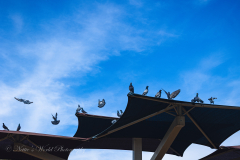 20251226-122625_4257web