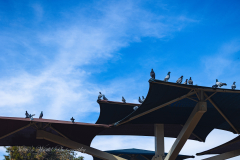 20251226-122625_4258web