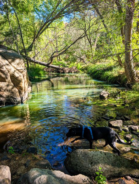 PXL_20250830_162240494-copy