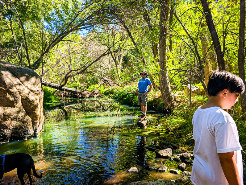 PXL_20250830_162330353-copy