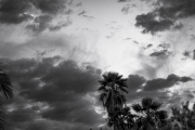 846A1946-Enhanced-SR_Edit-copy