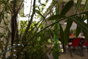 846A2027_Edit-copy