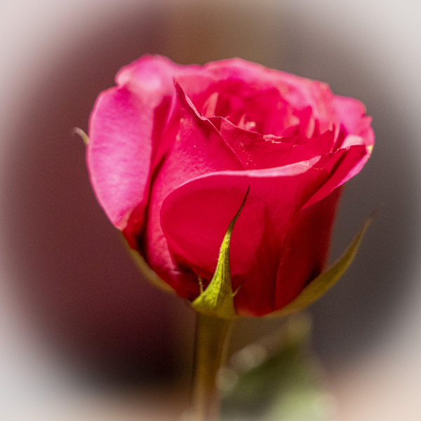 46A7657EDIT