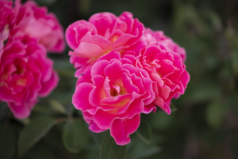846A1743_Edit_1