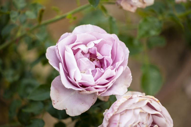 846A1744_Edit