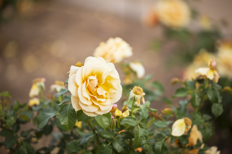 846A1746_Edit