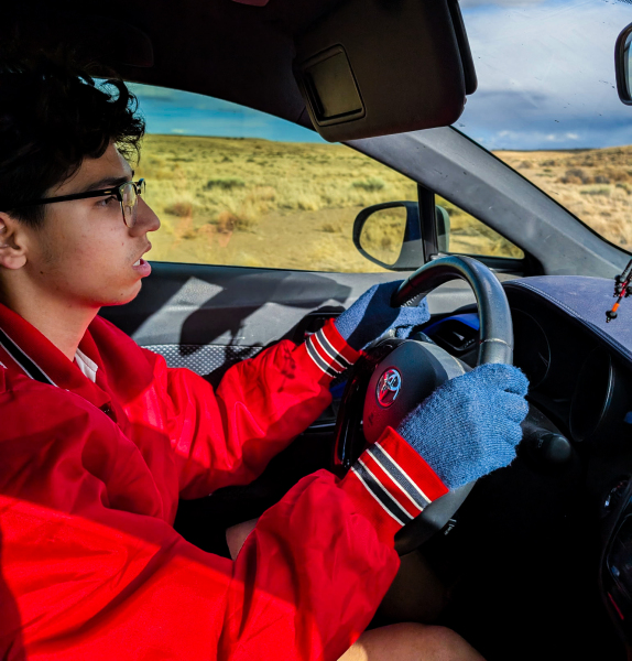 8752452962799435548-copy