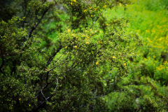 IMG_9425-copyweb