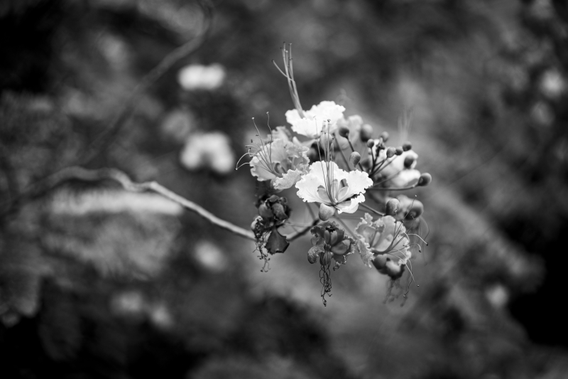 46A4970_Edit