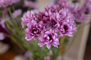 The Last Year of My Fifth Decade