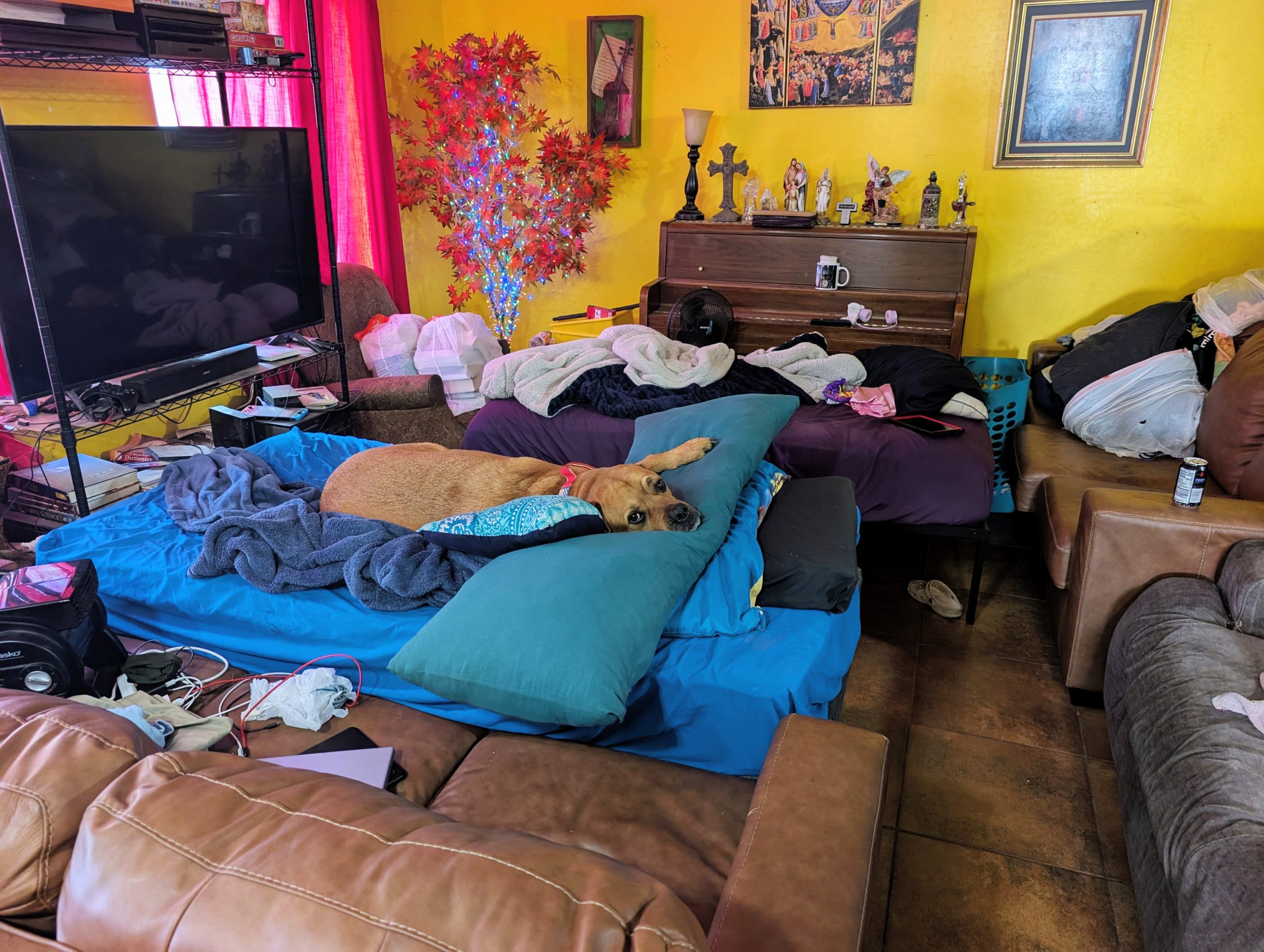 A Tumultuous Transformation